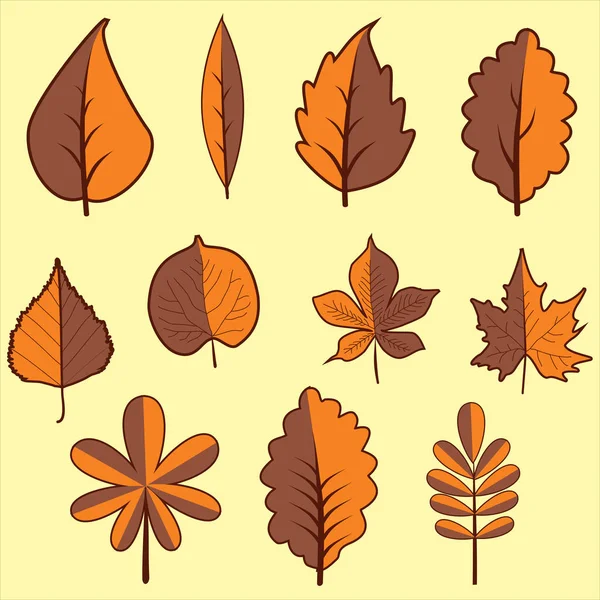 Sæt efterårsblade i gul baggrund. Klip kunst – Stock-vektor