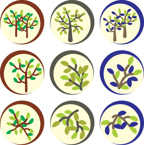 Logotipo natural o etiqueta con oliva en círculo — Vector de stock
