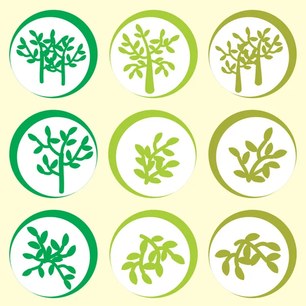 自然标志或标签与橄榄圈 — 图库矢量图片