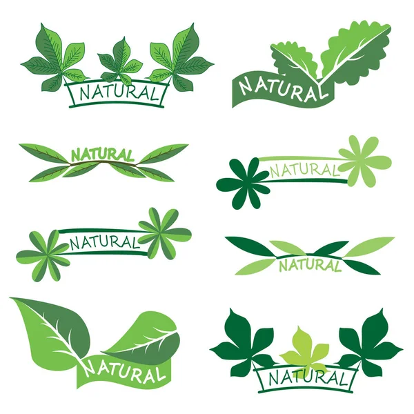 Conjunto de iconos de ecología o logotipos con hojas verdes — Vector de stock