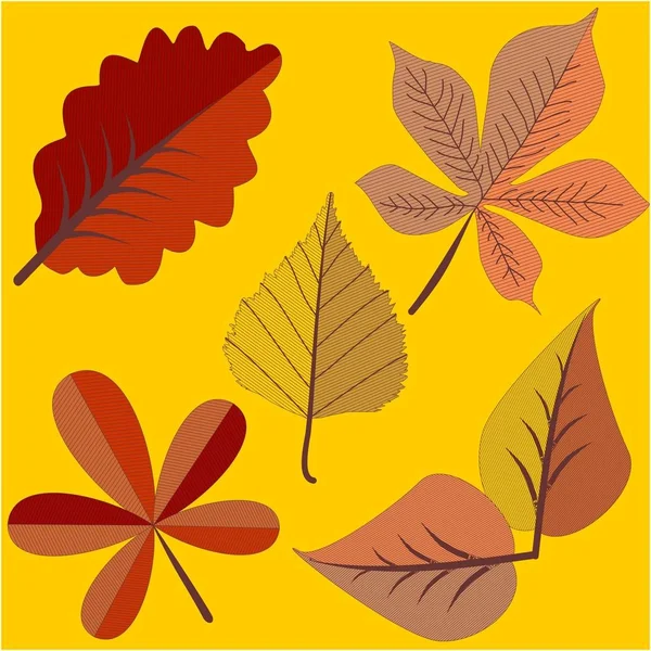 Осенние листья на два цвета . — стоковый вектор