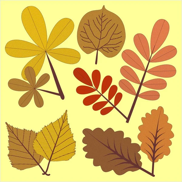 Folhas de outono em duas cores . — Vetor de Stock