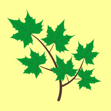 Yeşil yaprakları ile vektör şube. Şube yaprakları vektör çizim ile.