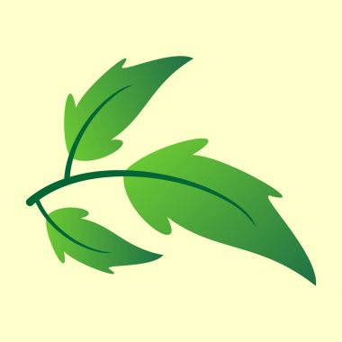 Yeşil yaprakları ile vektör şube. Şube yaprakları vektör çizim ile.