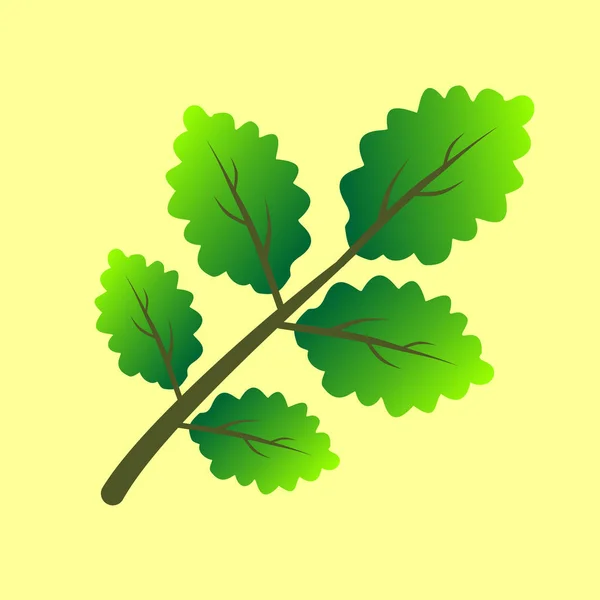 Branche Vectorielle Aux Feuilles Vertes Branche Avec Illustration Vectorielle Feuilles — Image vectorielle