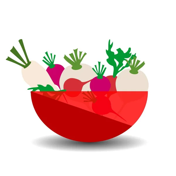 不同类型的萝卜在一个红色透明碗 带阴影的矢量图形说明 — 图库矢量图片