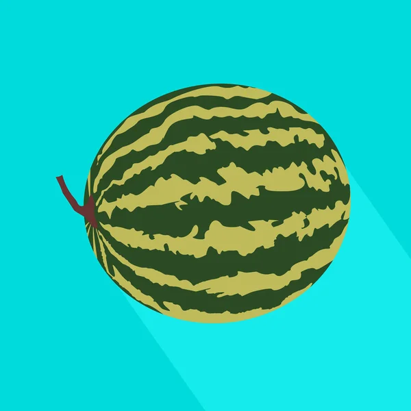 Watermelon Icon Long Shadow Vector Fruit Illustration Flat Design — 스톡 벡터