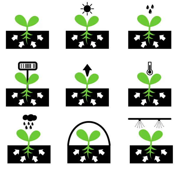 植物し アイコン セットを生やします 成長のアイコン フラット デザインのベクトル — ストックベクタ