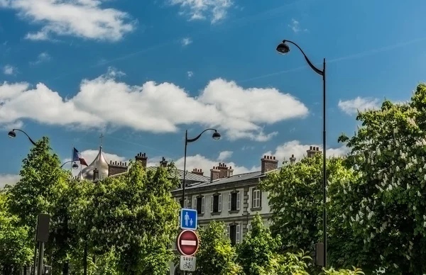 Natura paesaggio urbano con bandiera di Parigi — Foto Stock