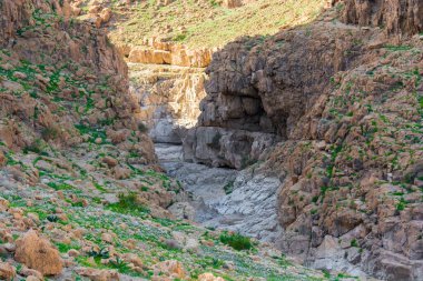 İsrail çölü. Qumran Milli Parkı.