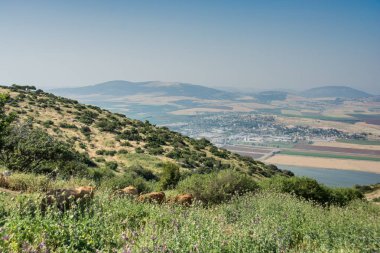 Panoramik dağ sırtı vadiden üzerinde