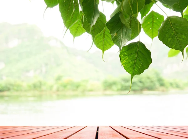 Suelo de madera con árboles borrosos de fondo del parque natural y summ — Foto de Stock