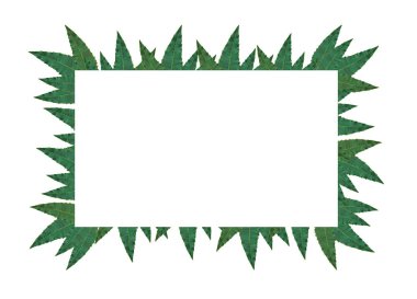 doğal yaprak beyaz arka plan üzerinde kenarlık