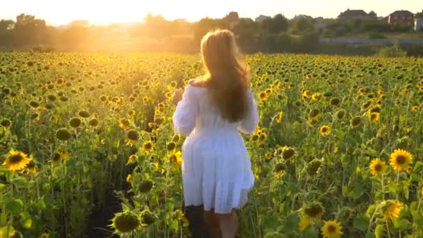 Menina no campo de girassóis — Vídeo de Stock