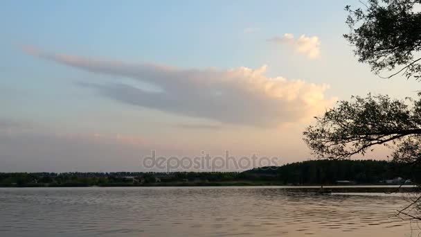 Fishing pond landscape — Stock Video