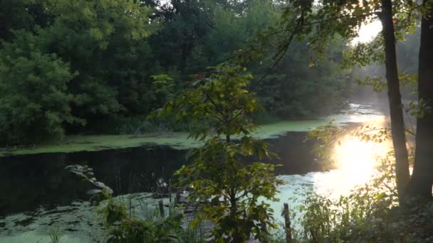 Sonnenaufgang am Fluss — Stockvideo