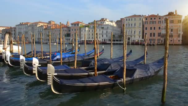 Góndolas en Gran Canal — Vídeo de stock