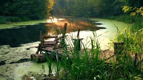 Ancienne jetée de pêche sur la rivière — Video