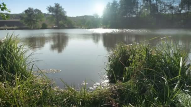 Temprano en el río — Vídeo de stock