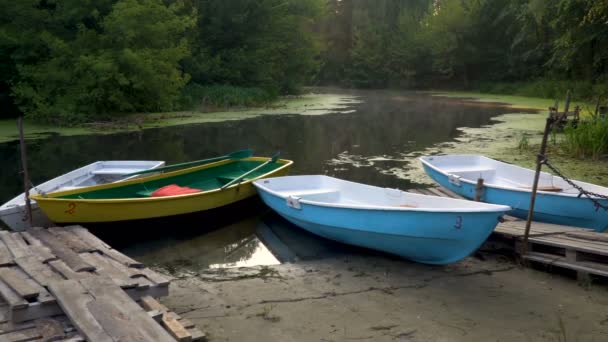 日の出の森の川岸に係留された木造船 — ストック動画