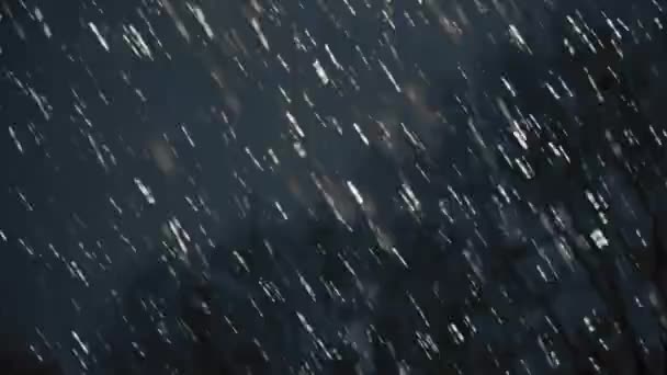 Starkregen in der Nacht — Stockvideo