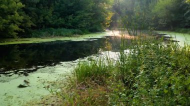 güzel gündoğumu Nehri üzerinde