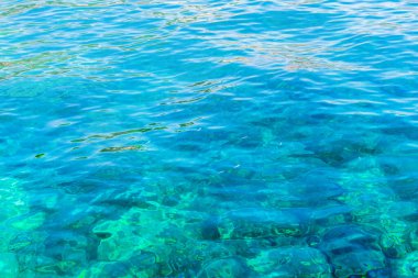 Mavi Deniz arkaplanı