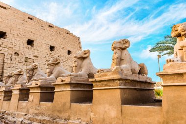 Karnak Tapınağında çiğ sfenks