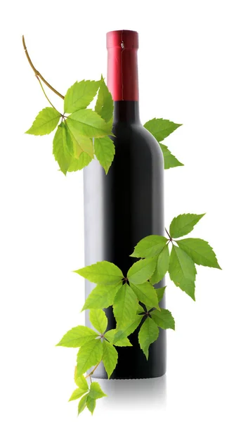Botella de vino y rama de uva —  Fotos de Stock