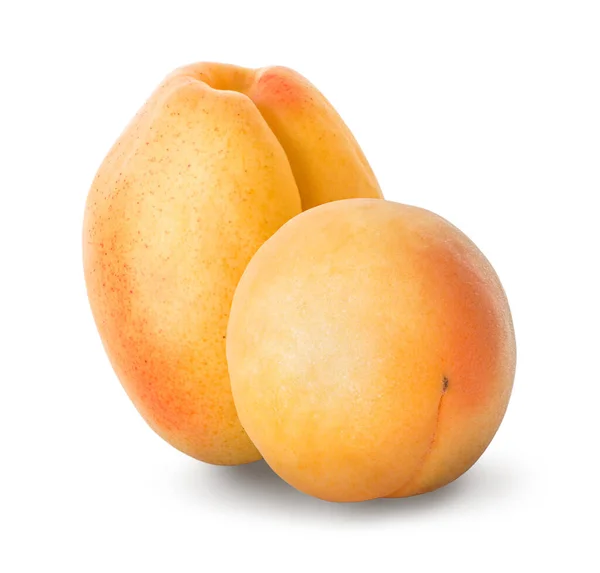 Два спелых абрикоса — стоковое фото