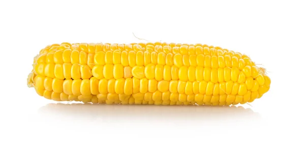 Ripe corn isolated — Stock Photo, Image