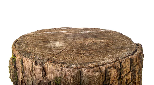 Wooden stump isolated — Stock Photo, Image