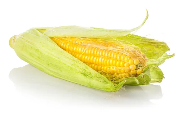 Fresh sweet corn — Stock Photo, Image