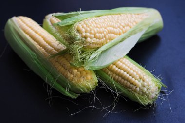 Olgun Mısır ve buğday bir siyah arka plan, üstten görünüm, kopya için alan