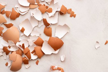 Beyaz arka planda yumurta kabuğu, izole yumurtalar.