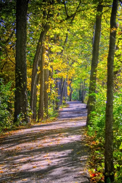 Camino del país en otoño — Foto de Stock
