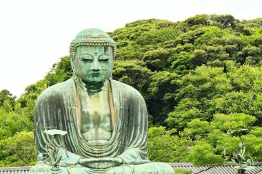 Kamakura Buddha ve orman