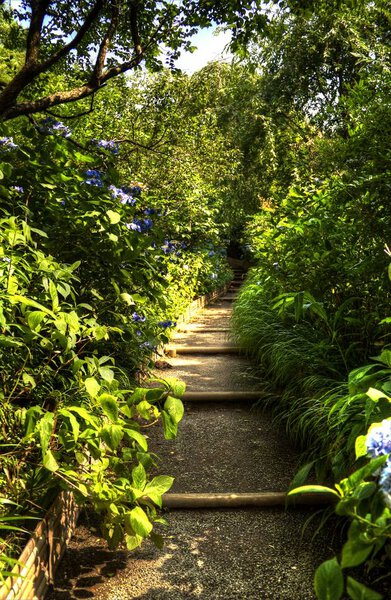 Тропа в лесу в ГДР
