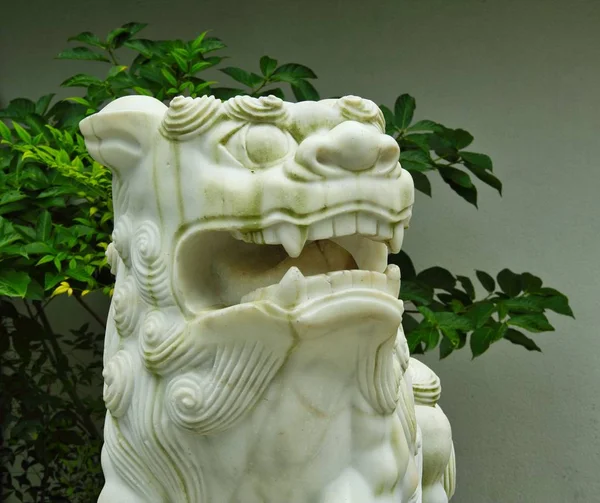 White Chinese Lion — Stock Photo, Image