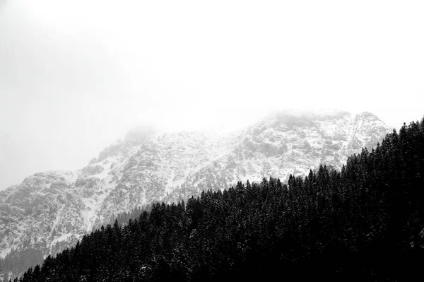 Снегопад и небо — стоковое фото