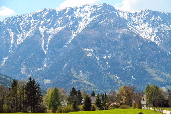 Alpy s pastvinou — Stock fotografie