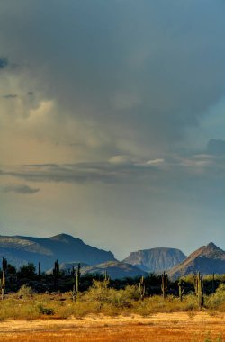 Saguaro'lar ve dağların High Dynamic Range Sonoran Çölü'nde aydınlatıcı geç akşam ışığı.