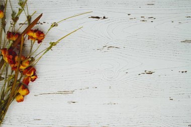 Beyaz ahşap arka plan kopya alanı kurutulmuş çiçeklerle sağlayan.