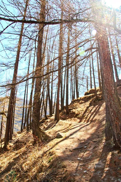 Wanderweg Den Bergen Ausserhalb Von Zermatt Schweiz — Stockfoto