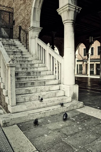 Venetiaanse Trap Met Duiven Grond Venetië Italië — Stockfoto
