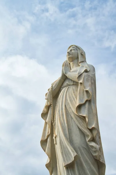 祈りながら見上げる聖母マリアの法令 — ストック写真