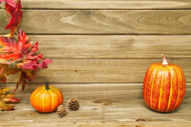 Bazı pumpkins ve bazı diğer sonbahar dekorasyonları ile boş bir duvar.