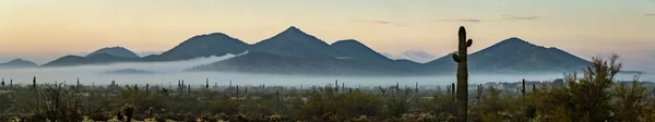 Panorama Una Rara Nebbia Mattutina Nella Phoenix Sonoran Desert Preserve — Foto Stock