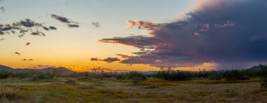Arizona 'nın Sonora Çölü' nün günbatımında uzak yağmur ve mavi gökyüzü manzarası..