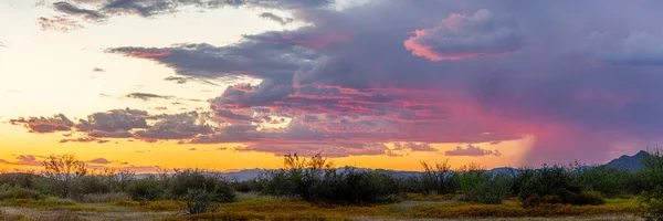 Arizona 'nın Sonora Çölü' nün günbatımında uzak yağmur ve mavi gökyüzü manzarası..